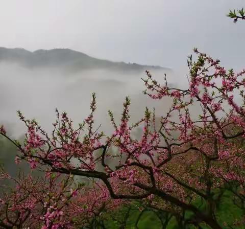 少年趣事之砍柴