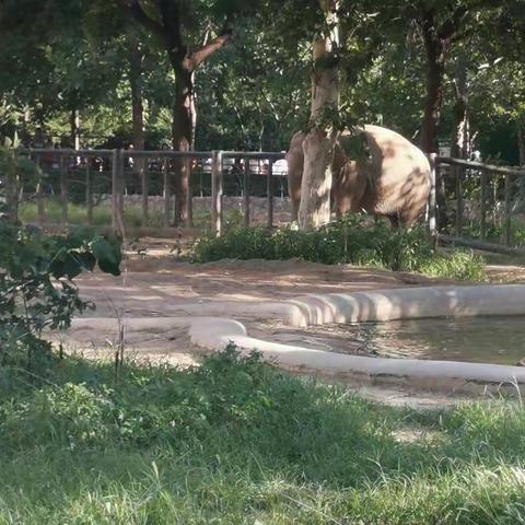 濮阳县第六小学孟令山的美篇