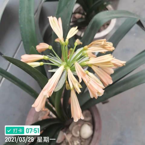 户县赛诚商贸13389244849的美篇
