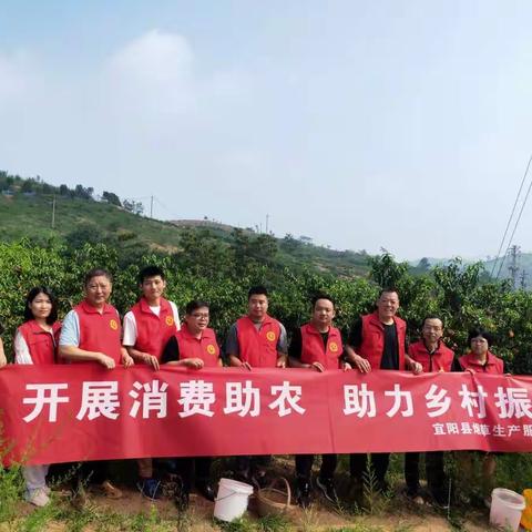 消费助农党员先行 助力推动乡村振兴——烟服中心开展“百万党员消费助农”活动