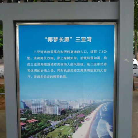 三亚湾椰梦长廊