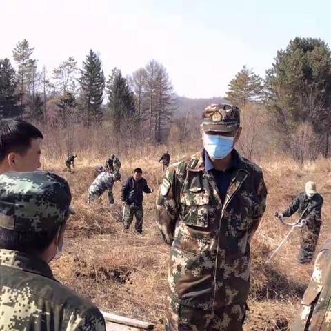 “小”木耳 “大”梦想