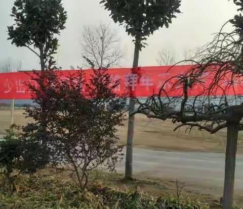 乔营小学组织学习疫情与法