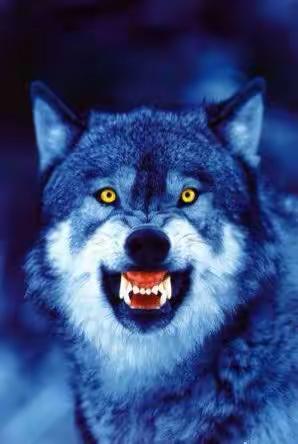 没人不愿选天堂