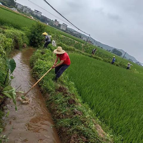 清理排灌沟渠杂草淤泥，助力农业生产