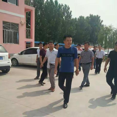 杨安镇王寨子小学第十六周工作纪实