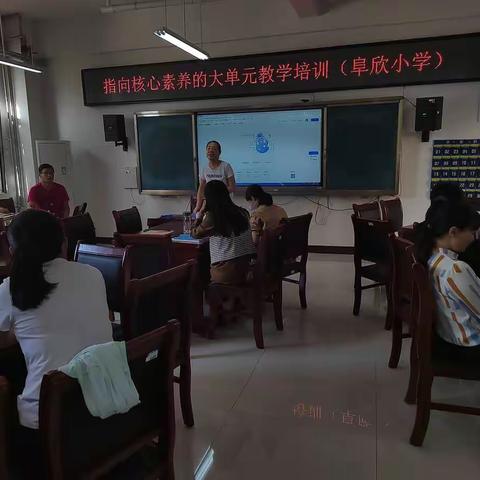 乐陵市阜欣小学—大单元教学培训，开展新学习模式