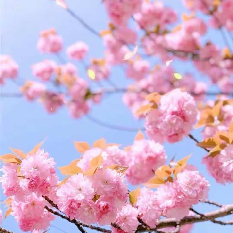 热爱可抵岁月漫长