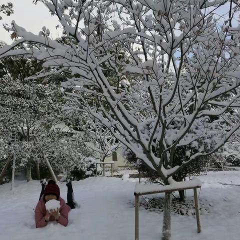 2018126,曰的一场大雪