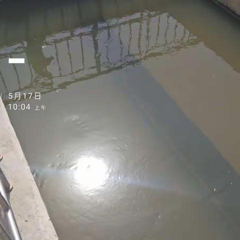 社会实践——东平湖水质检测及污水处理