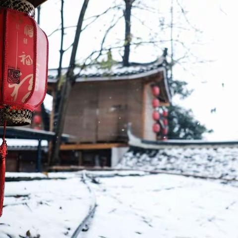 瑞雪兆丰年  红灯迎寅虎