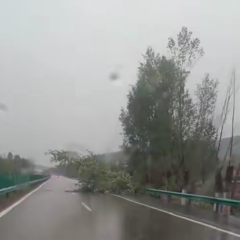 【丰满养护工区】大树倒伏挡住道路！丰满工区应急处置快，恢复道路畅通！