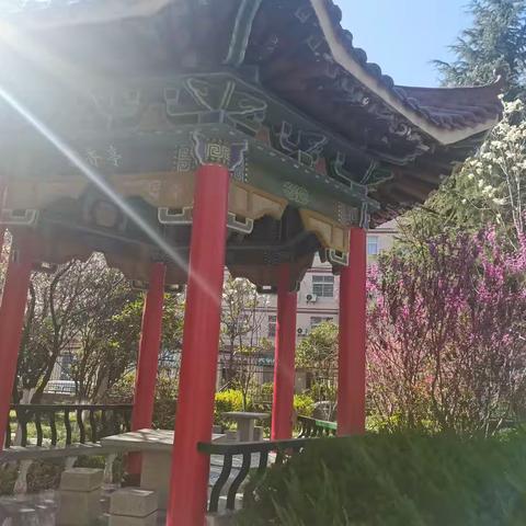 校园美景（副本）