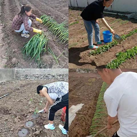 家校共育·以劳创美——音六中劳动教育实践活动