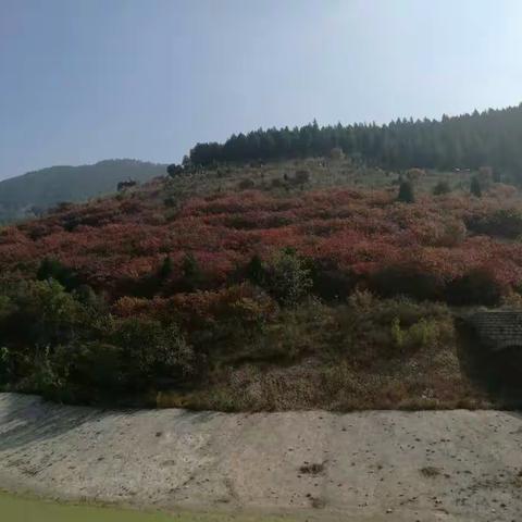 红叶谷