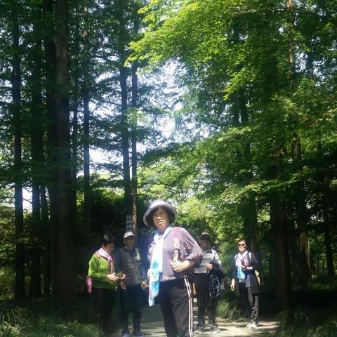 人间仙境留个影