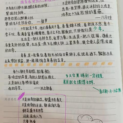 邂逅经典•采撷精华——大马乡中心学校举办读书笔记展评活动
