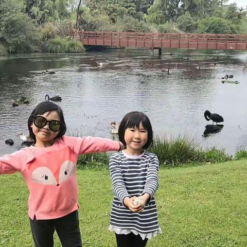 北岛七日游（二）