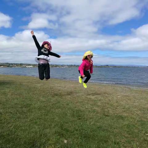 新西兰北岛七天游（2018.10.7一10.14）,从惠灵顿往奧克兰自驾游。