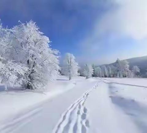 昨夜的雪