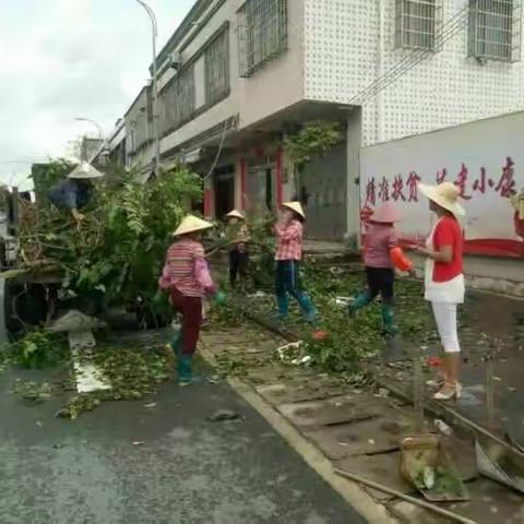 台风刚过，东澳镇委镇政府立即组织人员清理各的路段树枝树叶杂物等的卫生整洁！