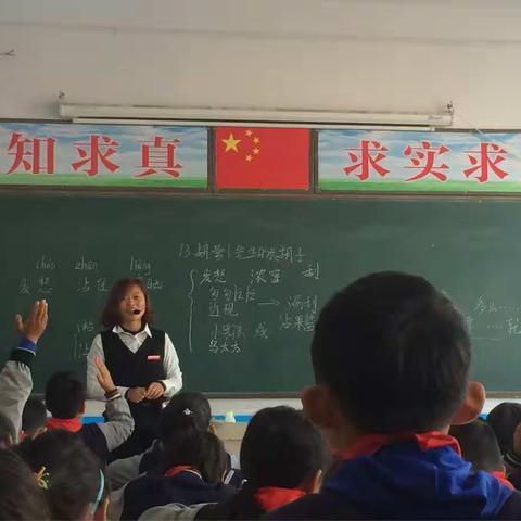 谷营镇七彩小学语文听课评课活动