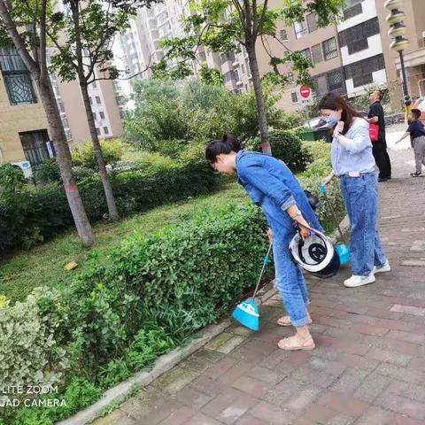 “周末去哪里  一起做公益”骊山街道西关社区开展创文志愿服务活动