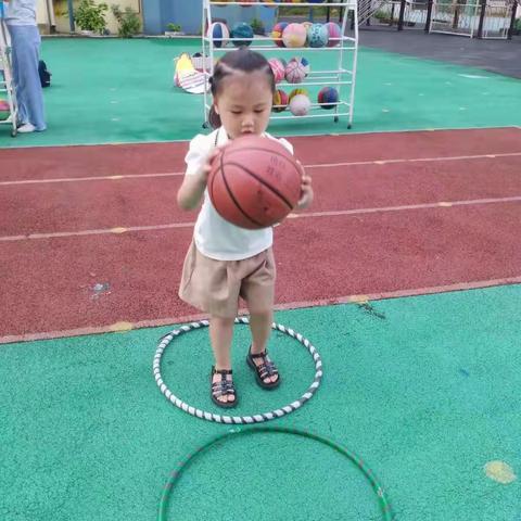 左岭贝街幼儿园小二班一周精彩回顾