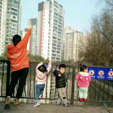 一月份月亮班月报