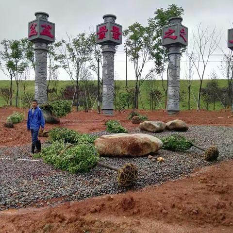 曹宅小城镇综合整治项目工程每日一报