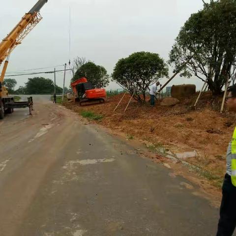 曹宅小城镇综合整治工程每日一报