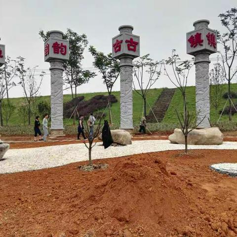 曹宅小城镇综合整治工程每日一报