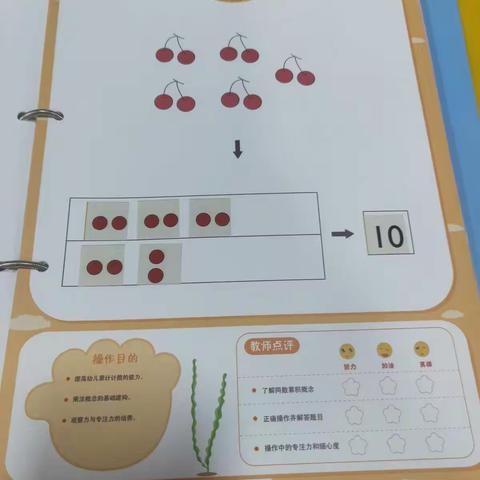 聪明蛙宝盒大班教学内容