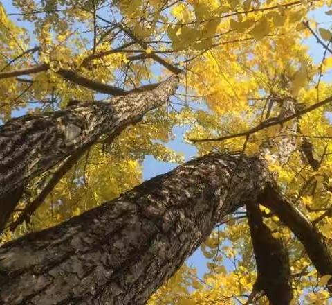 阅读，因分享而精彩！——于都实验小学《我的教育理想》教师阅读分享