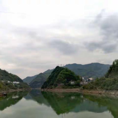硒水硒茶