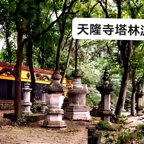 游天隆寺塔林记