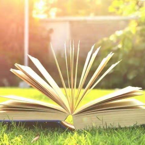 实验小学教师读书分享——《鸟是树的花朵》