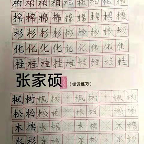 宝石城小学二年级3班日常学习活动