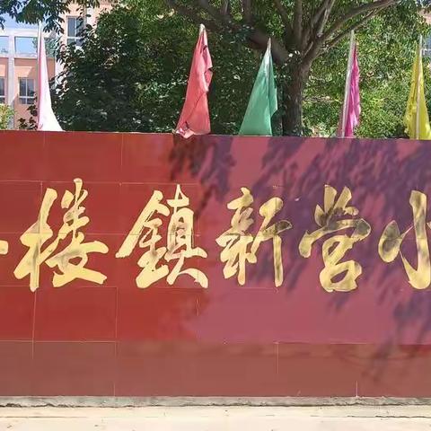 新起点，新方向，我们在阳光下成长——大张楼镇新营小学