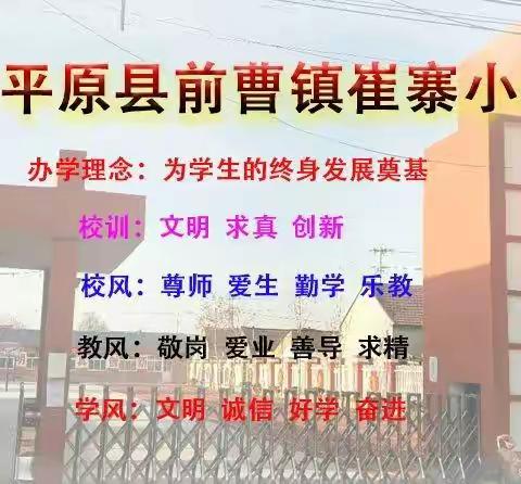 平原县前曹镇崔寨小学分批入队仪式