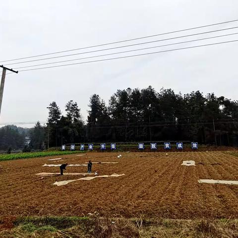 绥阳镇：一犁新雨破春耕，备耕保产正当时