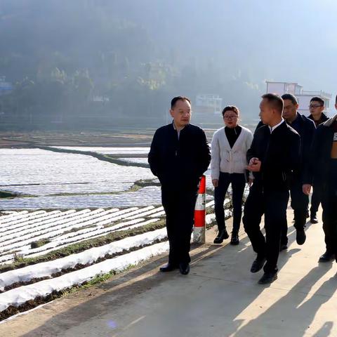 遵义市政府副市长、凤冈县委书记王继松到绥阳镇调研、指导工作