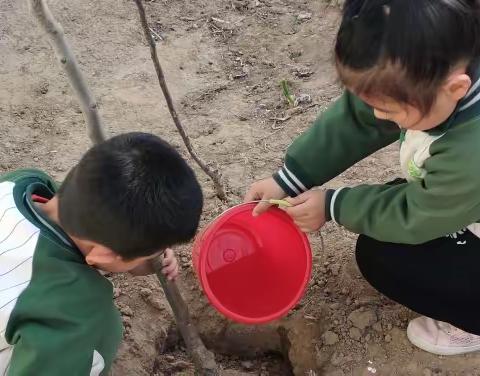 明星幼儿园中班植树节活动