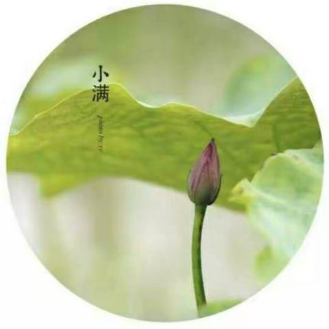 二十四节气——小满