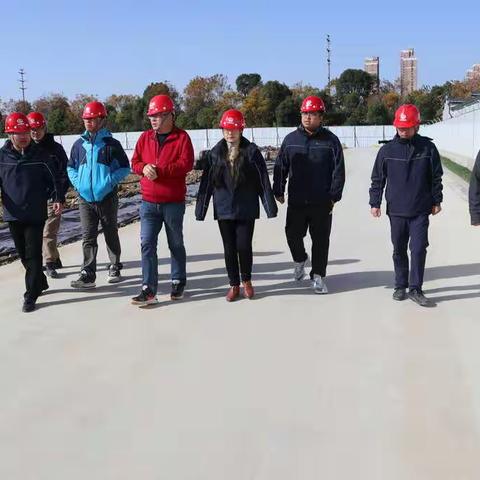 局管控组到滨湖花园（二区）项目管控检查