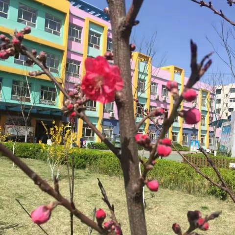 我们的宗旨就是：播下一个行动，收获一种习惯。播下一个习惯，收获一种性格。播下一种性格，收获一种命运！