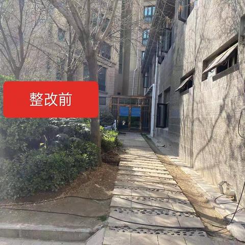 【东城区天宝路街道恒大绿洲社区】持续推进人居环境整治提升，我们在行动