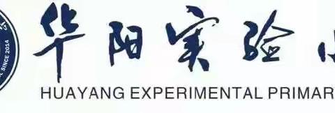 兴趣是孩子最好的引领者