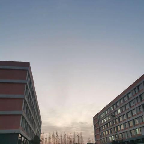 四年五班开学第九周