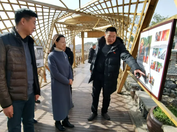 1月28日,商城县县委常委,组织部长吕菲到伏山乡里罗城村调研指导乡村